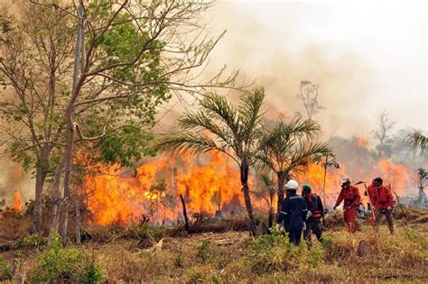 Arce declaró desastre nacional tras incendios forestales en Bolivia.